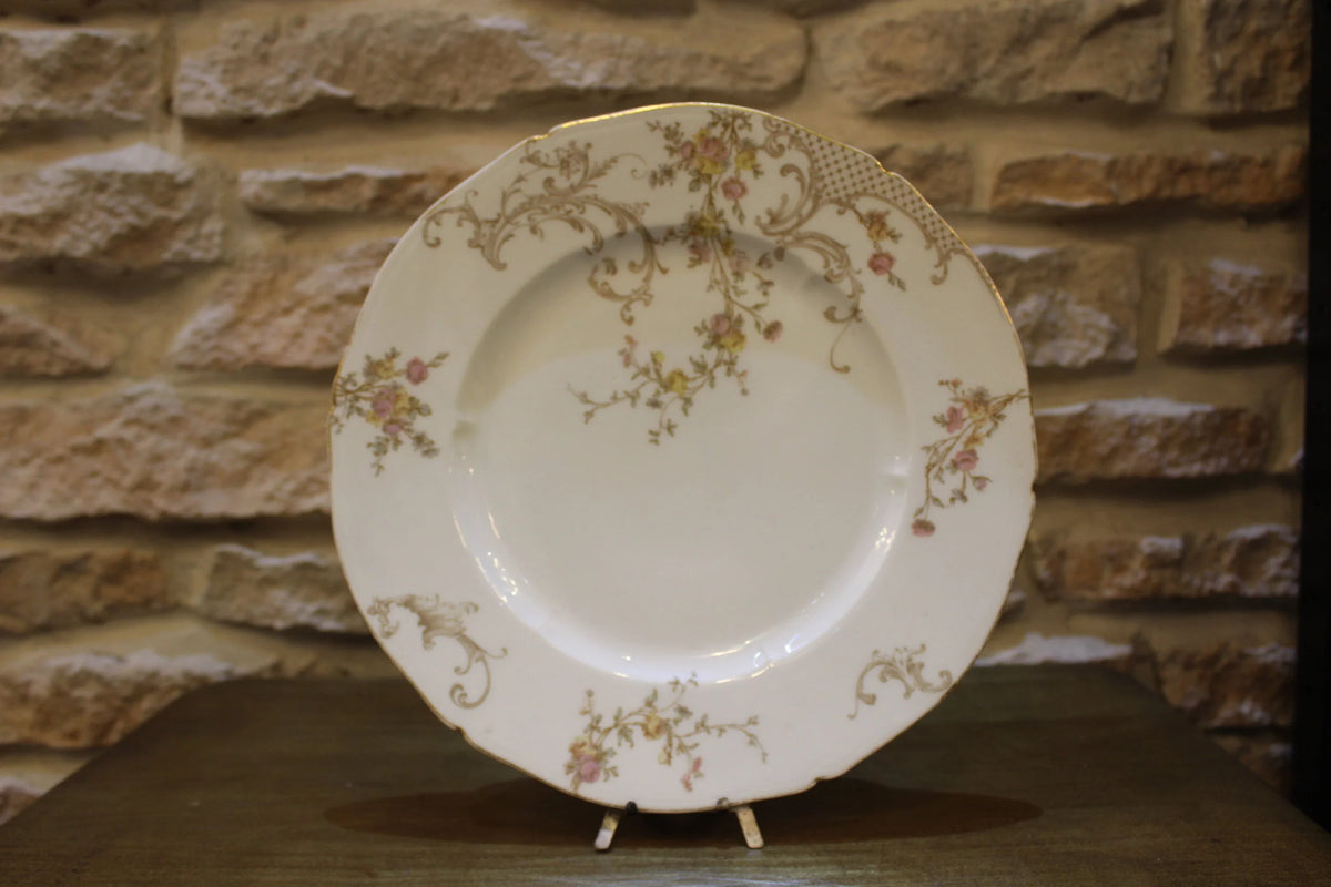 Dinner plate - D&C