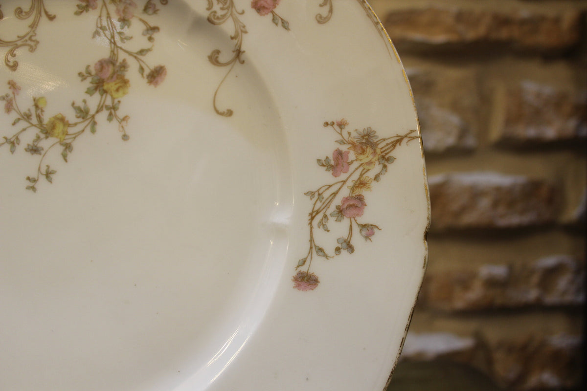 Dinner plate - D&C