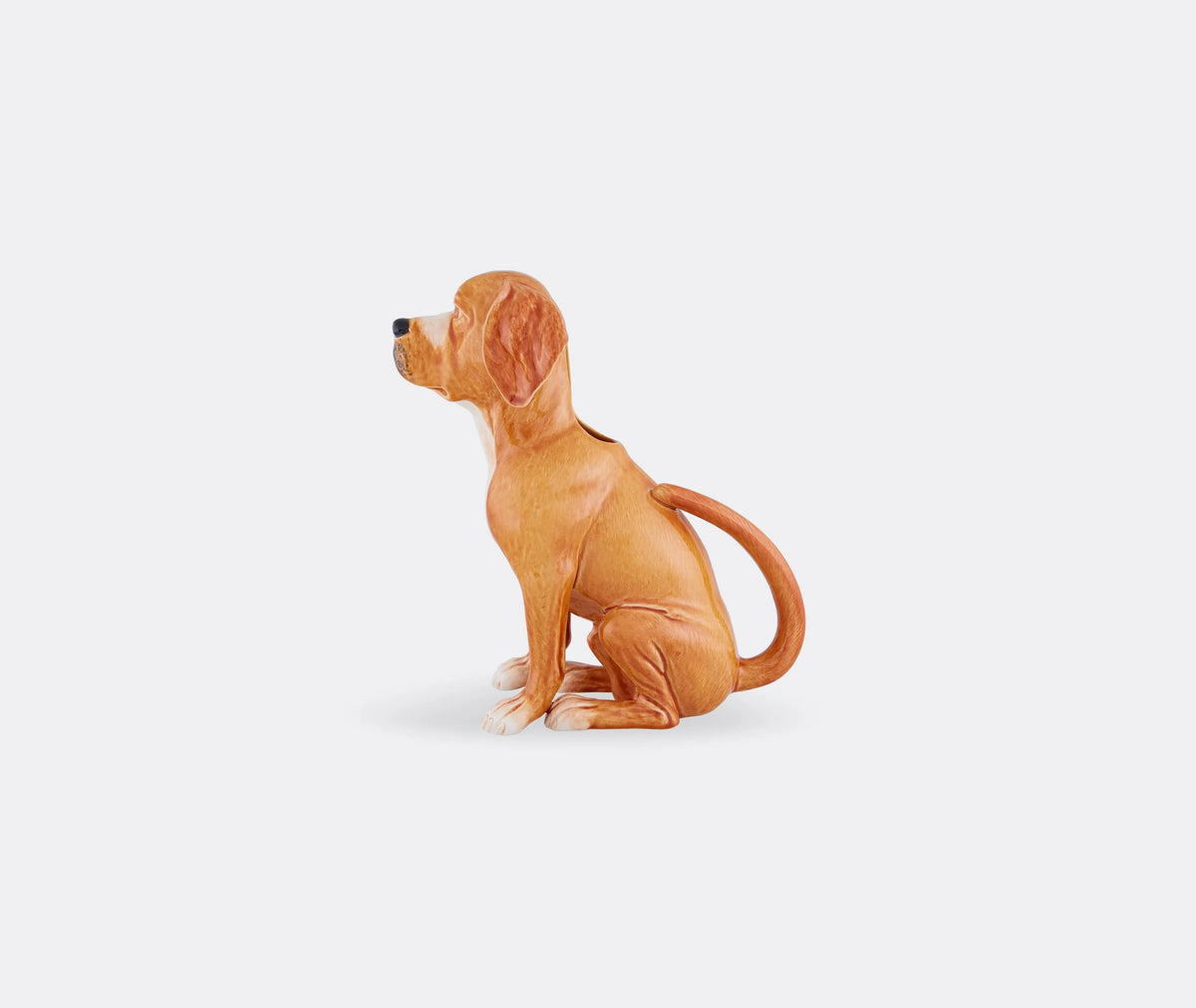 Carafe Chien