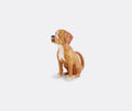 Carafe Chien