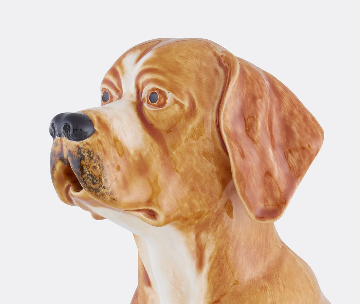 Carafe Chien
