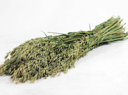Bunch of Dried Flowers Oats - DécoFleur
