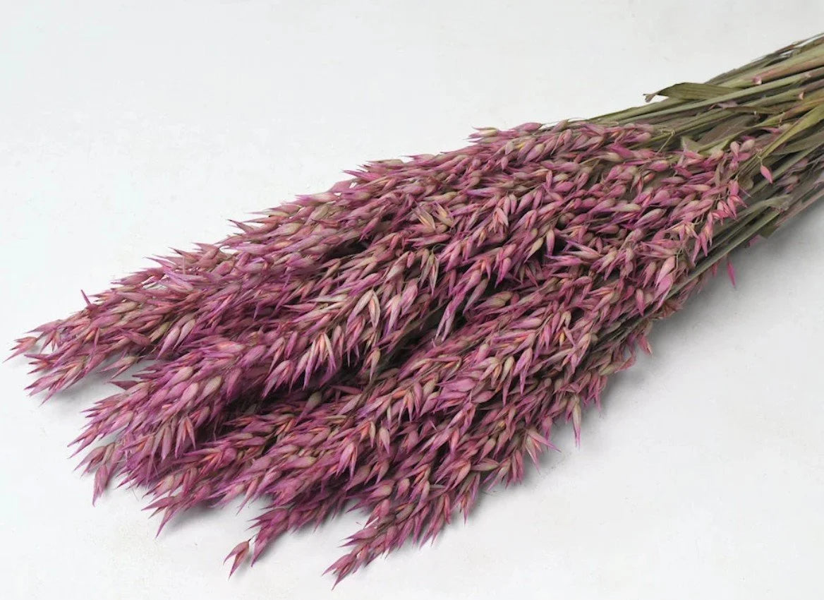 Botte de fleurs séchées Avoine - DécoFleur