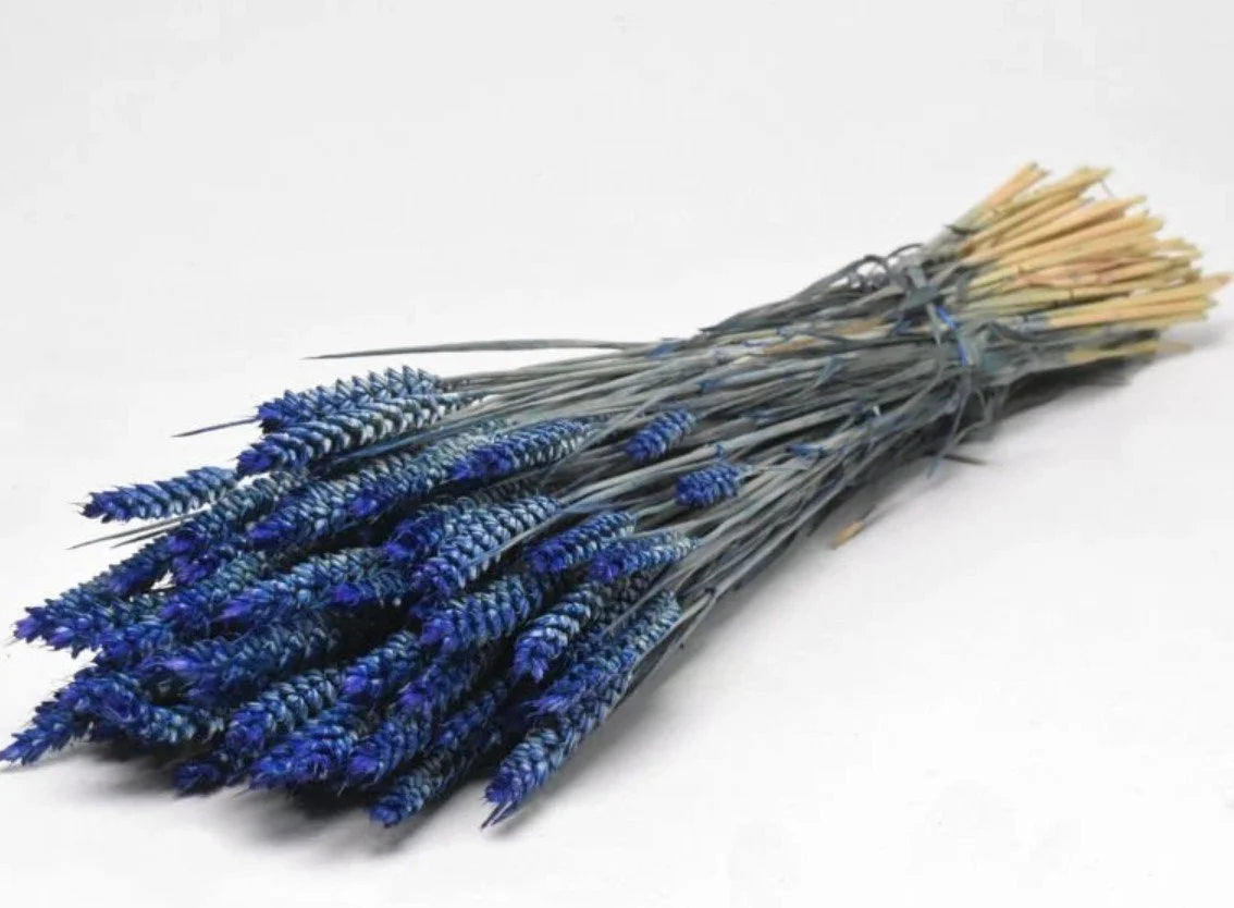 Botte de fleurs séchées Triticum - DécoFleur