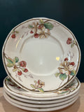 Assiettes Villeroy & Boch