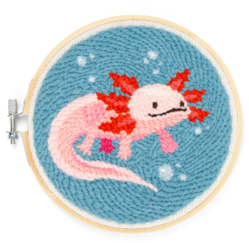 Kit Broderie - Kikkerland