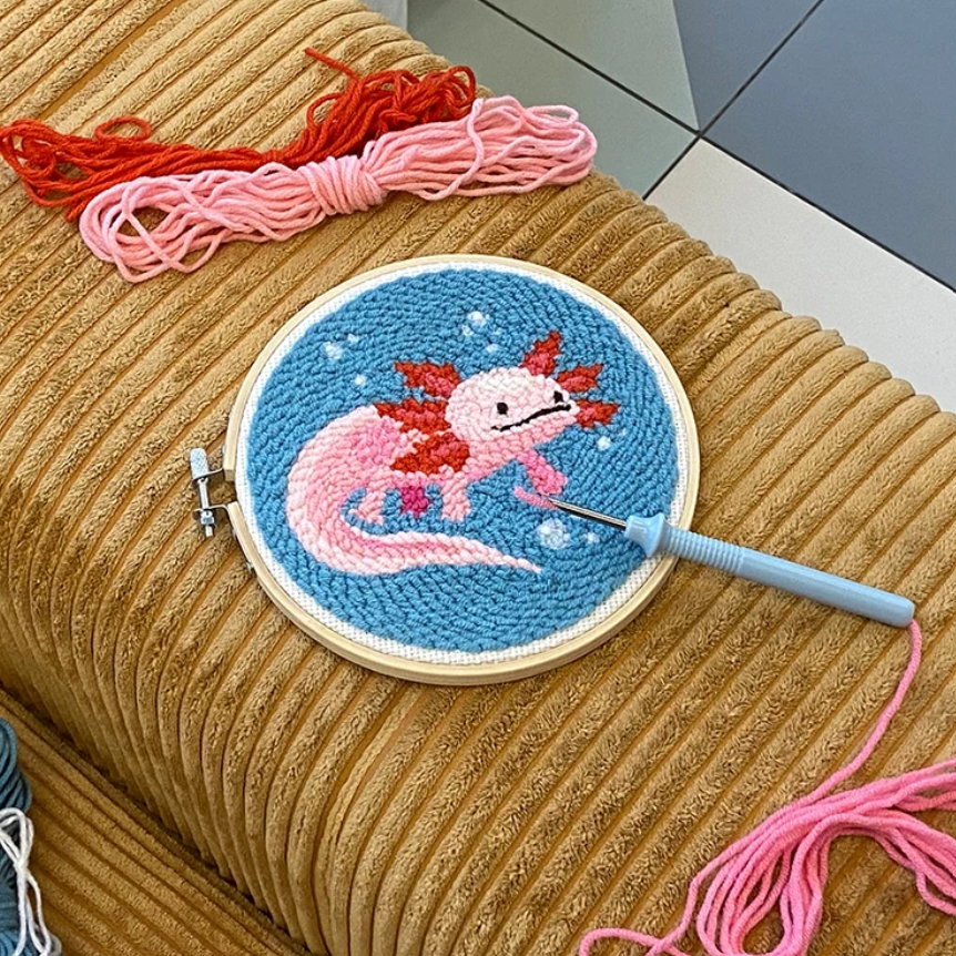 Kit Broderie - Kikkerland
