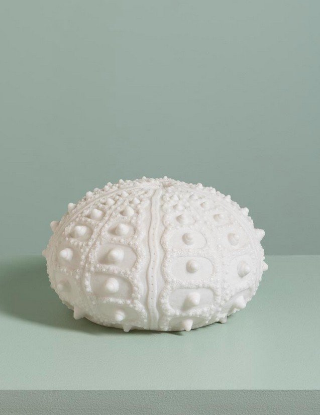 Urchin Table Lamp - Chehoma