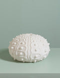 Urchin Table Lamp - Chehoma