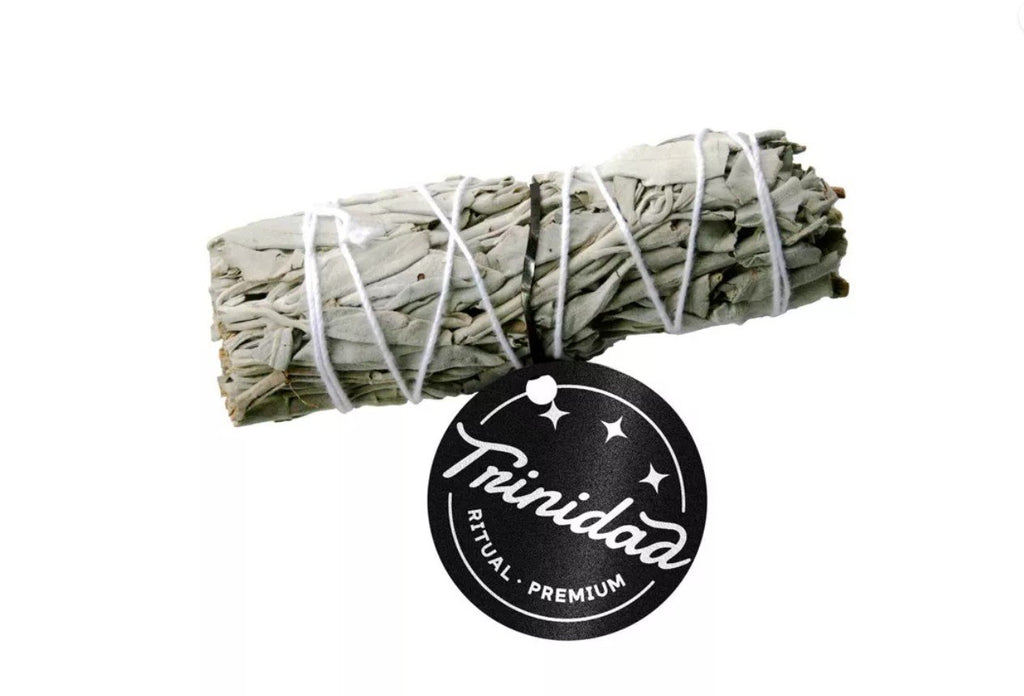 Sauge de Californie - Trinidad